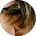 Silvana Stresser